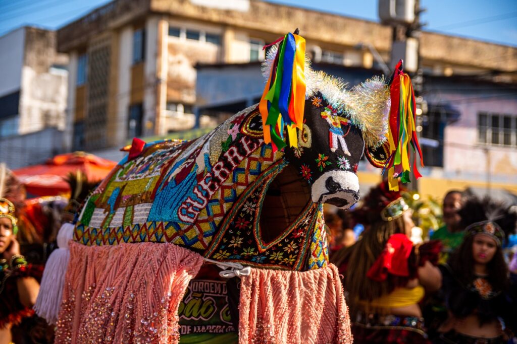 Saiba onde estão as principais festas populares brasileiras