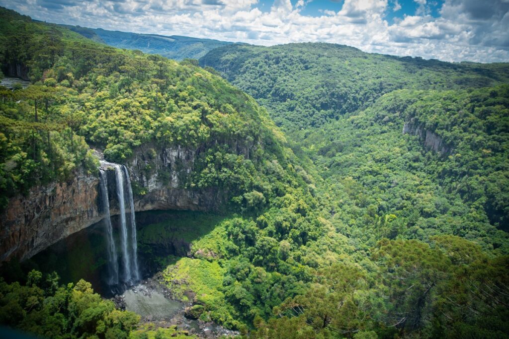 Clima da Mata Atlântica: conheça as melhores épocas para viajar