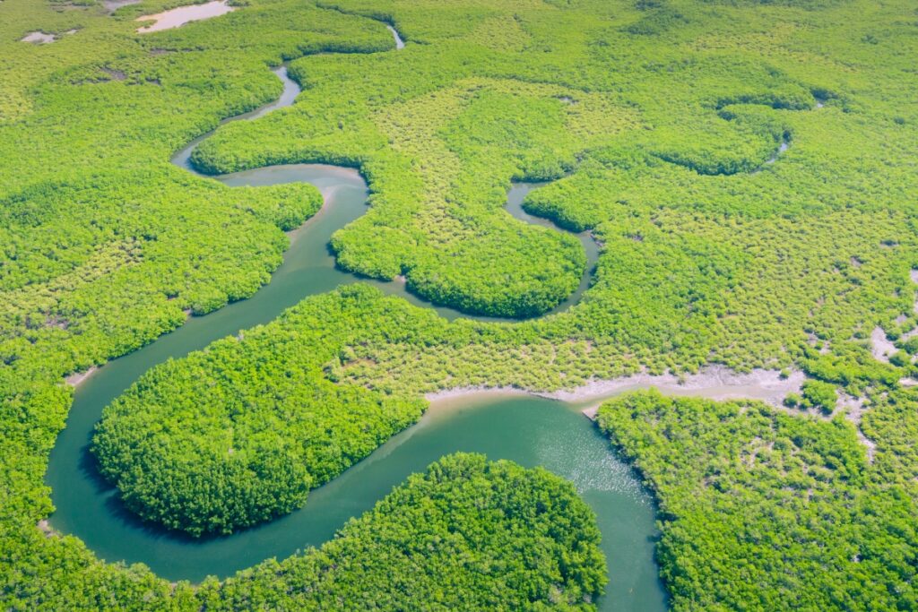Viagem para Amazônia: 5 dicas para montar o seu roteiro